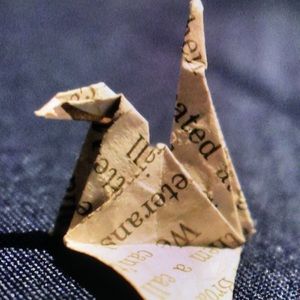 Meet your Posher, Rainy